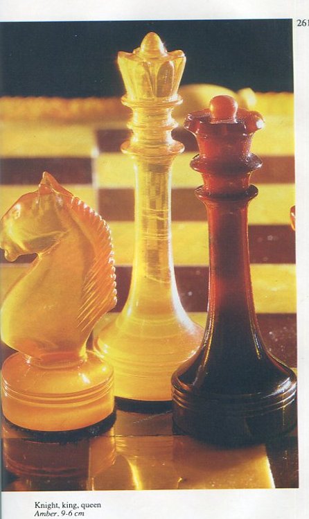 Frederic Friedel: Meet the founder of the chess software company  'ChessBase' - The Economic Times